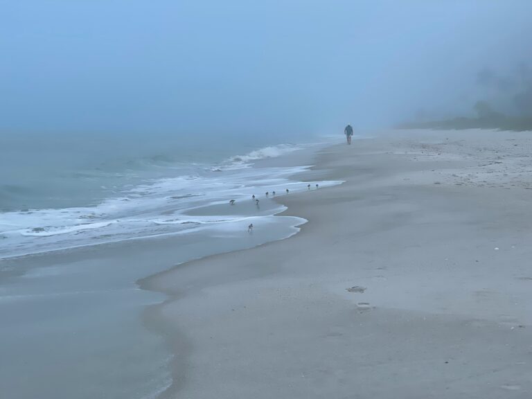 Surf Fishing at Miramar Beach, Florida: Your Guide to Angling Paradise [Catch Fish Like a Pro!]