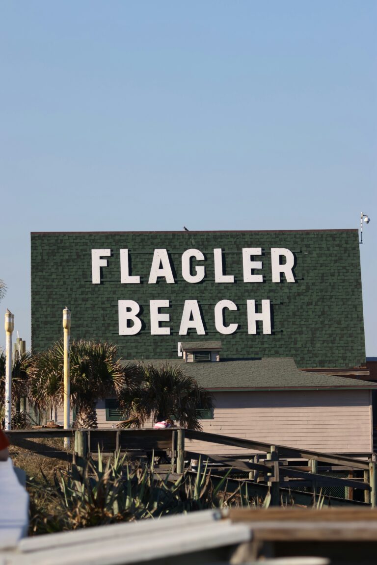 Discover the fish species in Flagler Beach Florida [Catch Your Next Big Fish Here]