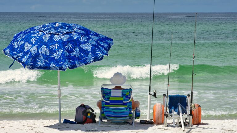 Seasonal Fish in Panama City Beach Florida: What’s Biting Now? [Discover the Best Catches]