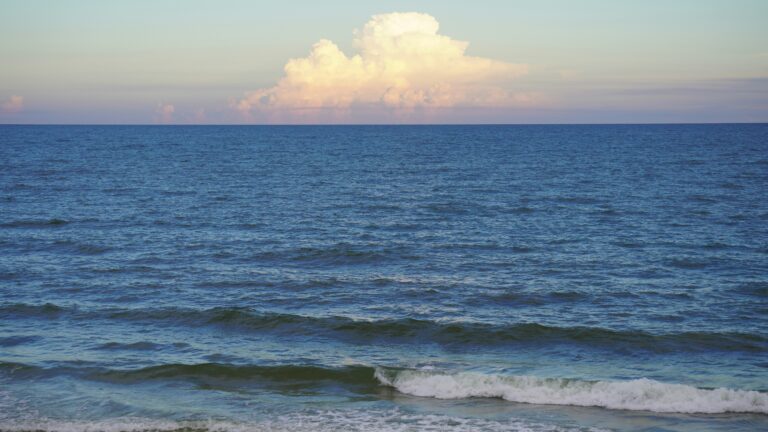 Fishing in Mexico Beach, Florida: A Complete Guide [Enhance Your Fishing Experience]