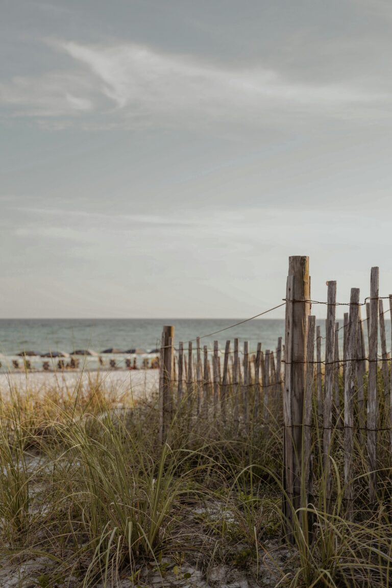 Best Fish to Catch in Santa Rosa Beach Florida [Reel in Your Ultimate Catch Now]