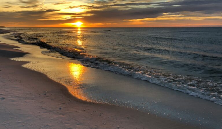 Did Hurricane Elsa Hit Fort Walton Beach Florida? Learn the Impact and Recovery [Don’t Miss!]