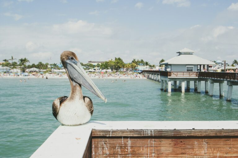Vacationing at Fort Myers Beach Florida: A Complete Guide [Must-Read Tips]