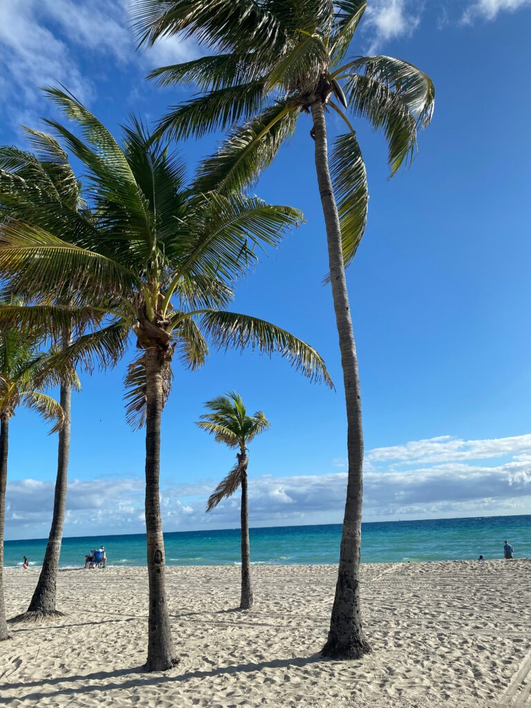 Did Hurricane Ian affect Hollywood Beach Florida? [Discover the Storm’s Impact Now]