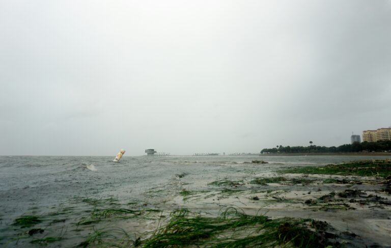 Venice Beach Florida Post-Hurricane Ian Update [Find Out the Latest]
