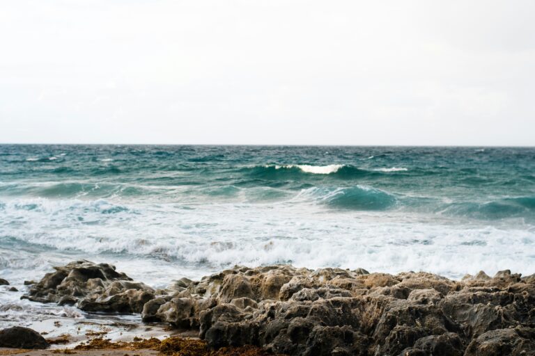 Fishing in Jensen Beach Florida: Your Ultimate Guide [Don’t Miss Out!]