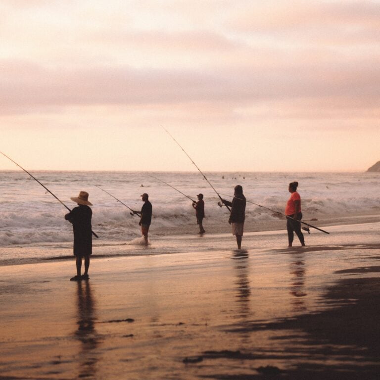 Essential Gear and Tips for Beach Fishing in Florida [You Don’t Want to Miss This]