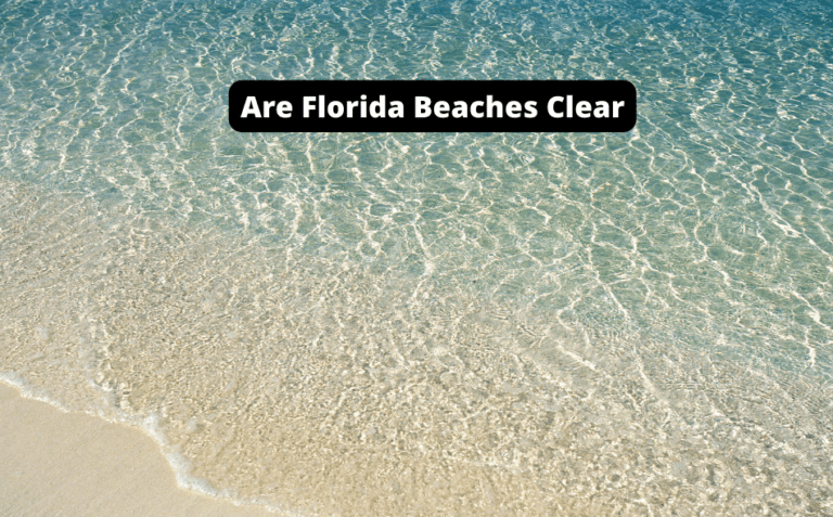 Are Florida Beaches Clear? [Find Out Now!]