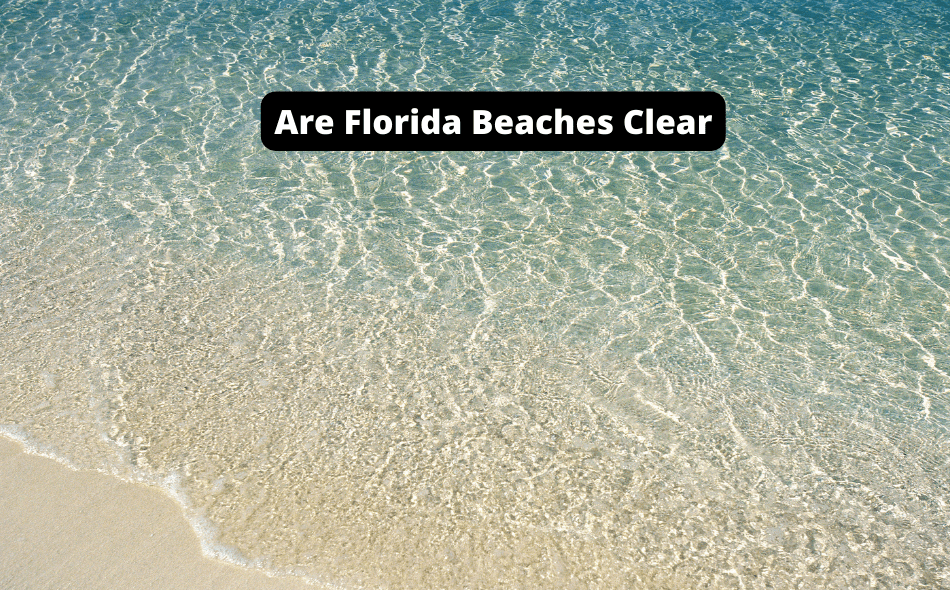 are florida beaches clear