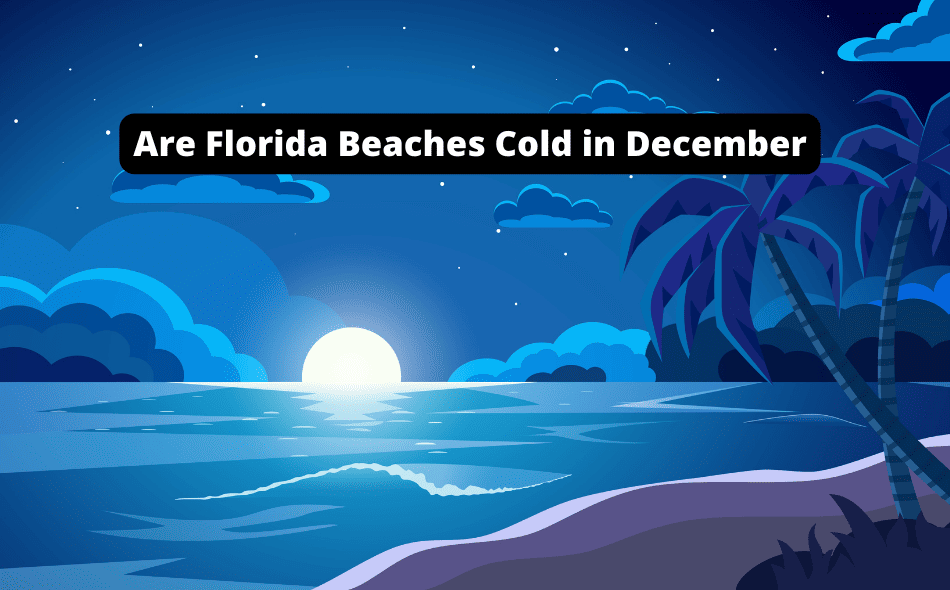 are florida beaches cold in december