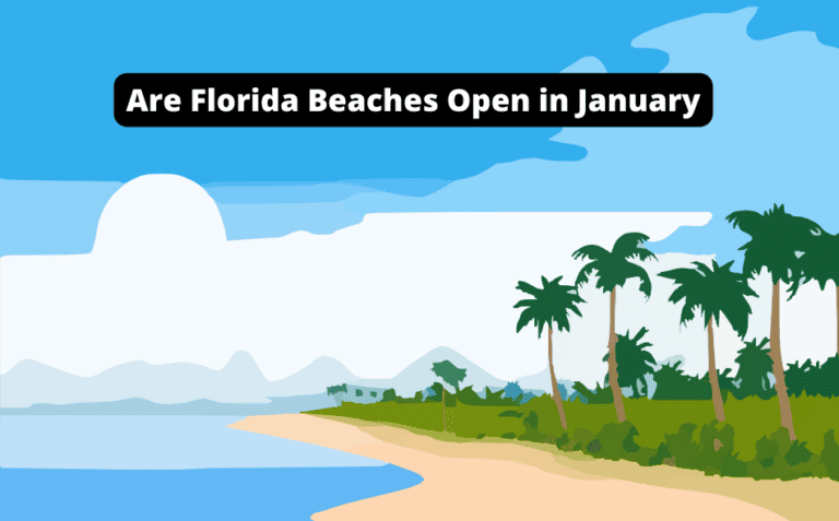 Are Florida Beaches Open in January? [Be Updated!]