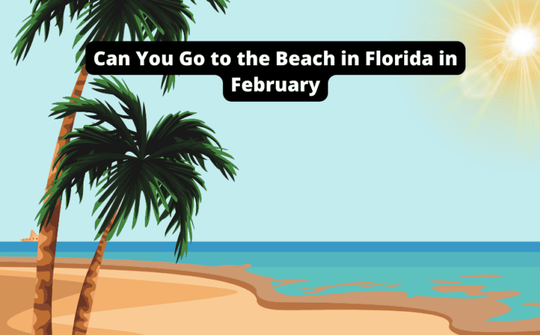Can You Go to the Beach in Florida in February? [Find Out Now!]
