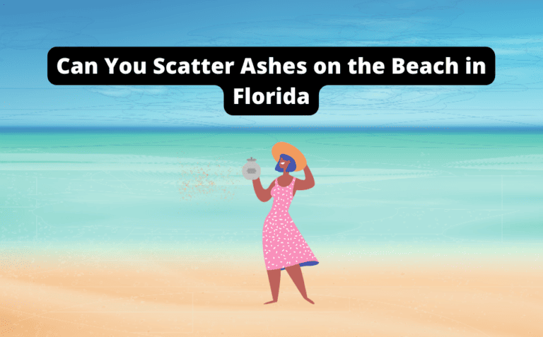 Can You Scatter Ashes on the Beach in Florida? [Find Out the Rules Now!]