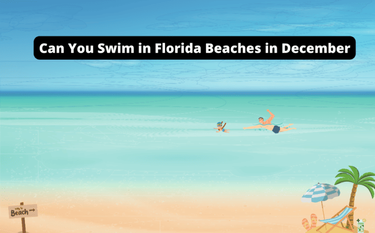 Can You Swim on Florida Beaches in December? [Check Out The Details!]