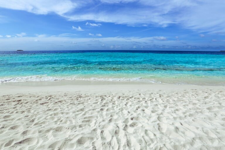 Can You Take Sand from Florida Beaches? [Know the Rules!]