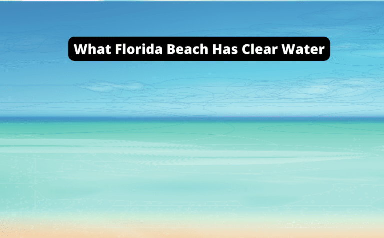 What Florida Beach Has Clear Water? [Find Your Perfect Beach Now!]