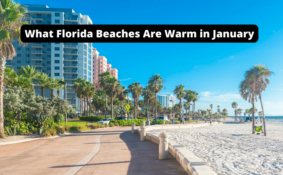 what florida beaches are warm in january