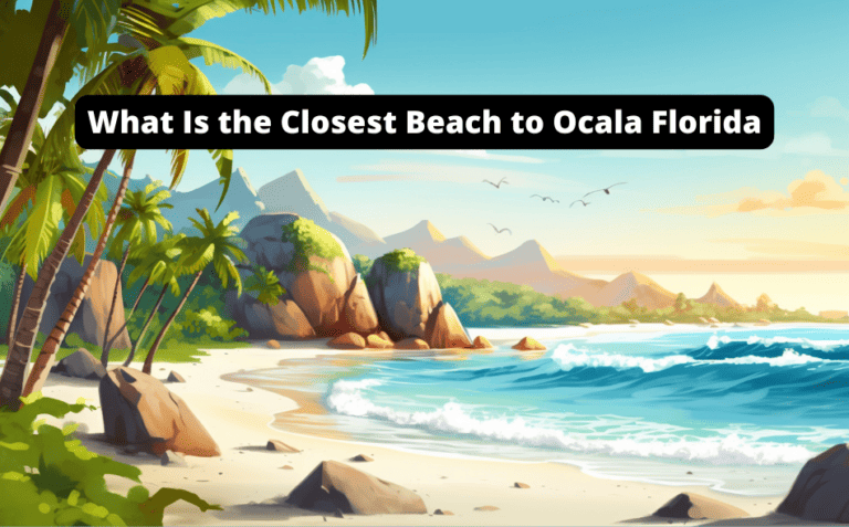 What is the Closest Beach to Ocala Florida? [Discover Today!]