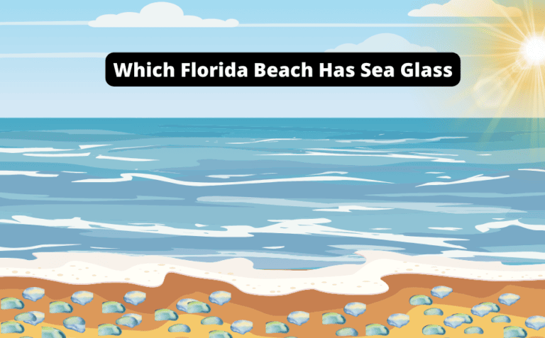 Which Florida Beach Has Sea Glass [Find Out Now!]