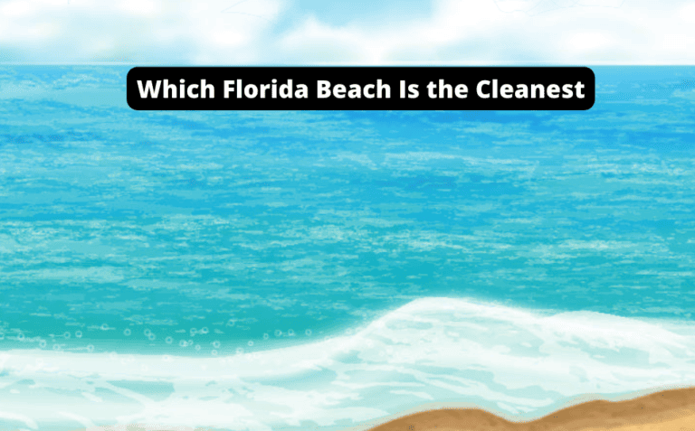 Which Florida Beach Is the Cleanest? [Let’s Uncover!]