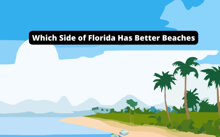 Which Side of Florida Has Better Beaches? [Explore Today!]