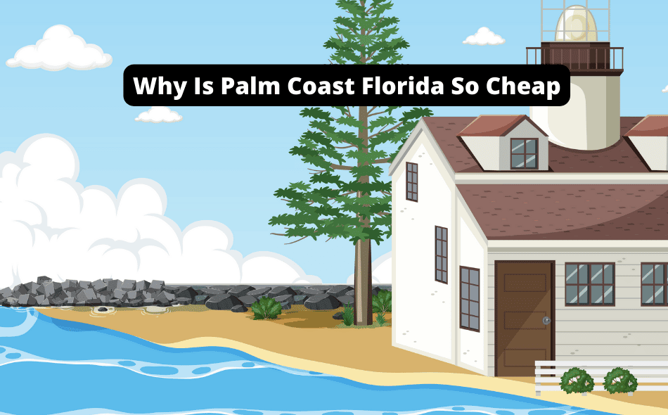 why is palm coast florida so cheap