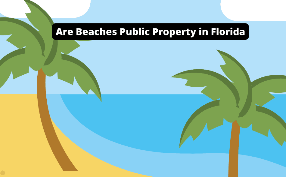 are beaches public property in florida