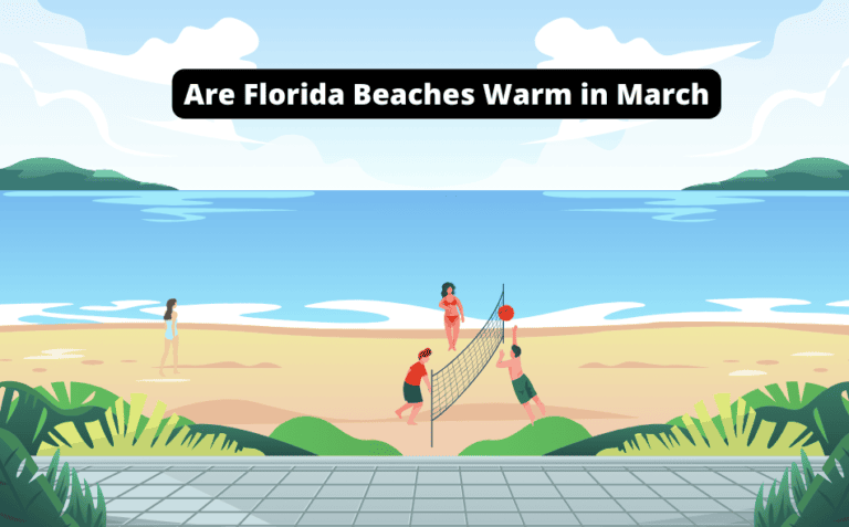 Are Florida Beaches Warm in March? [Must Read!]