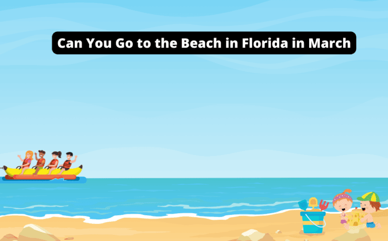 Can You Go to the Beach in Florida in March [Must-Read Guide]