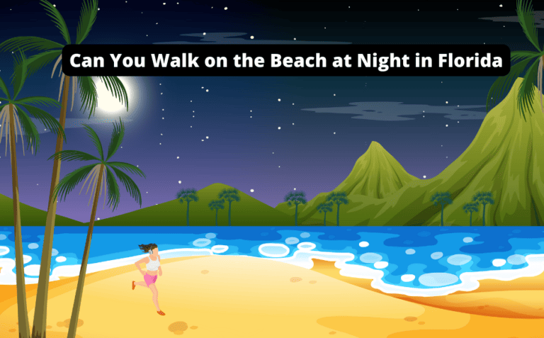 Can You Walk on the Beach at Night in Florida [Discover the Tranquility and Vibrance]