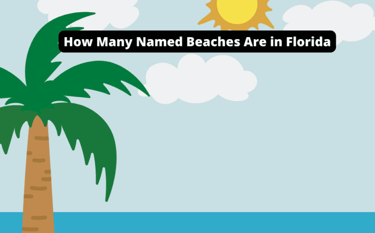 How Many Named Beaches Are in Florida [Discover the Coastline’s Hidden Secrets!]