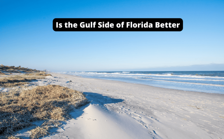 Is the Gulf Side of Florida Better? [Discover the Hidden Gem!]