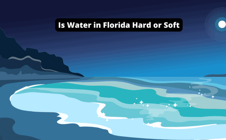 Is Water in Florida Hard or Soft? [Discover the Truth Now!]