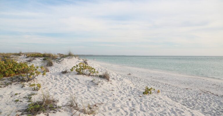 Sanibel Island or Fort Myers Beach: Comparing Gulf Coast Paradises [Find Your Perfect Escape]