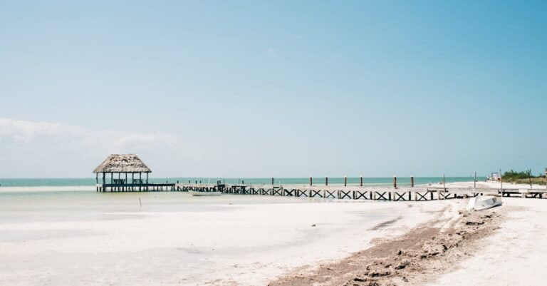 Top Things to Do in Mexico Beach, FL [Must-See Attractions]