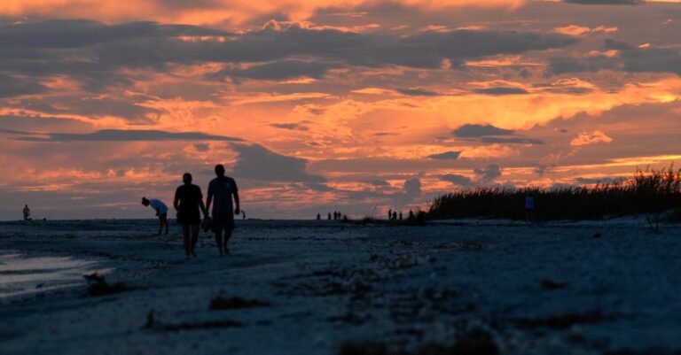 Exploring Nature Walks and Trails near Florida Beaches [Must-Read Tips]