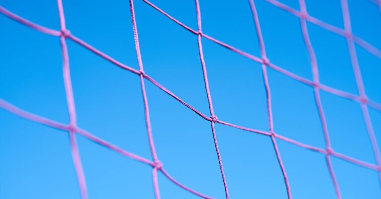 Dive into the Best Beach Volleyball Tournaments in Florida [Must-See Competitions]