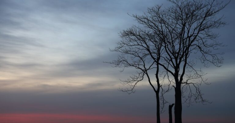 Ultimate Guide to the Best Place to Park in South Beach [Uncover Hidden Gems]