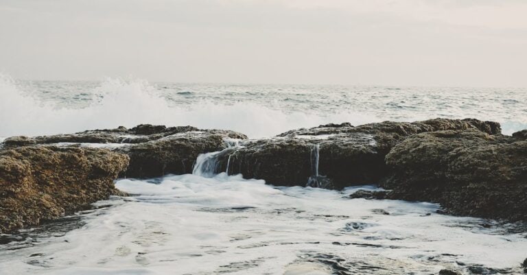 Check the Perfect Waves: Tide and Surf Conditions for Florida Beaches [Ride the Waves with Confidence]