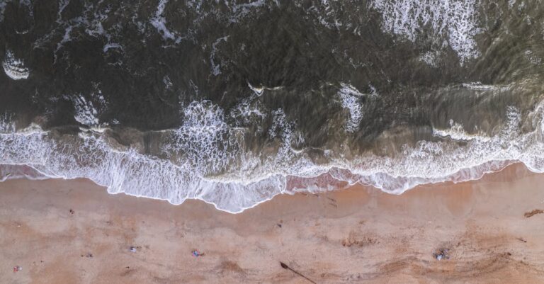 Ultimate Guide: Things to Do in Jacksonville Beach FL [Must-See Attractions]