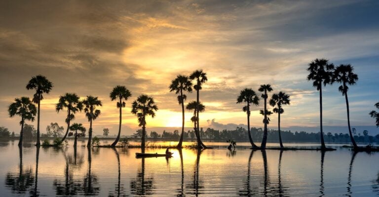 Maximize Your Shopping Experience in Palm Beach Lakes [Must-Read Tips]