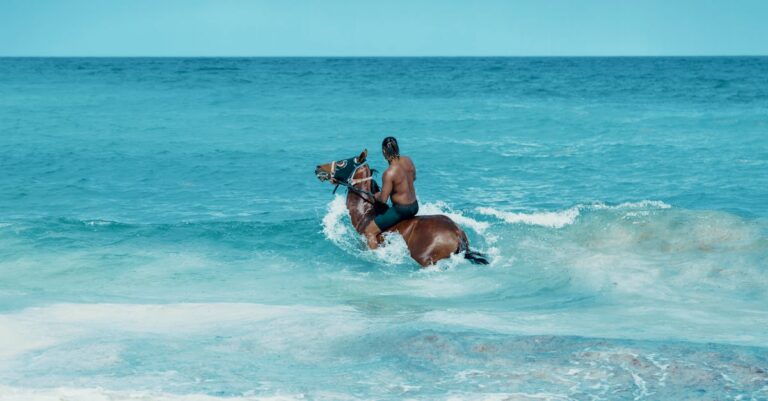 Best Beach Horseback Riding Locations in Florida [Unforgettable Rides]