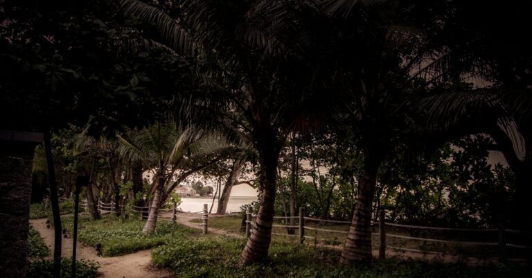 How Far Is Delray Beach from Palm Beach Gardens [Must-Know Distance]