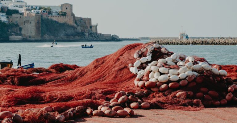 Essential Ocean Beach Pier Fishing Tips [Must Read!]