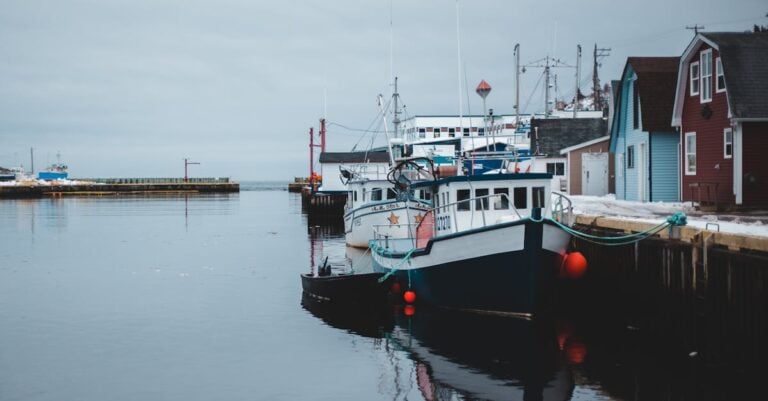 Best Fishing Piers and Spots along Florida’s Coastline [Expert Tips Inside]