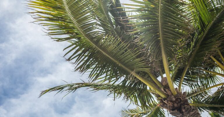 Best Beachside Accommodations and Resorts in Florida [Must-See Destinations]