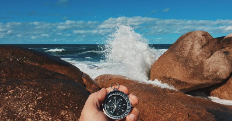 Discover the Ultimate Guide to Tide Pools and Marine Life in Florida [Must-Read]