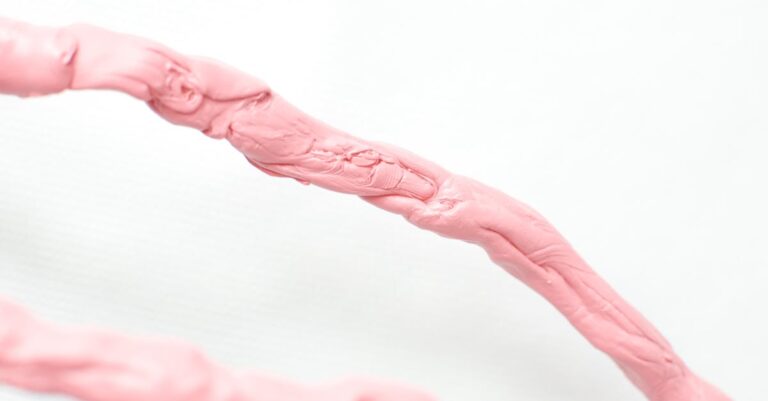 Explore Astounding Beachside Art Installations and Galleries in Florida [Must-See Gems]