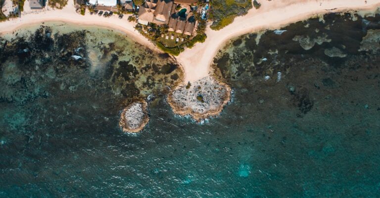 Safety Tips for Swimming in Florida’s Ocean Waters [Stay Safe in the Sunshine State!]