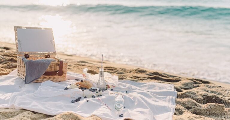 Essential Beach Picnic Food Safety Tips [Keep Your Picnic Safe]